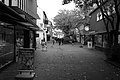 L1004473 - Bernhard Saalfeld