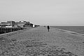 L1004571 - Bernhard Saalfeld