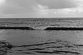 L1004613 - Bernhard Saalfeld