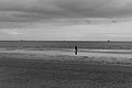 L1004706 - Bernhard Saalfeld