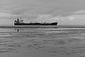 L1004723 - Bernhard Saalfeld