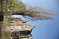 DSC03411 - Bernhard Saalfeld