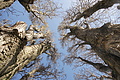 DSC03414 - Bernhard Saalfeld