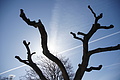 DSC03416 - Bernhard Saalfeld