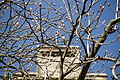 DSC03421 - Bernhard Saalfeld