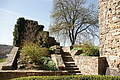 DSC03437 - Bernhard Saalfeld