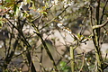 DSC03440 - Bernhard Saalfeld