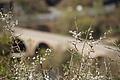 DSC03441 - Bernhard Saalfeld