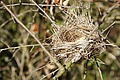 DSC03442 - Bernhard Saalfeld