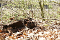 DSC03443 - Bernhard Saalfeld