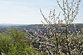 DSC03444 - Bernhard Saalfeld
