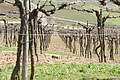 DSC03451 - Bernhard Saalfeld