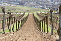 DSC03452 - Bernhard Saalfeld