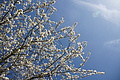 DSC03454 - Bernhard Saalfeld