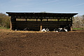 DSC03455 - Bernhard Saalfeld