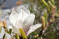 DSC03459 - Bernhard Saalfeld