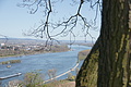 DSC03484 - Bernhard Saalfeld
