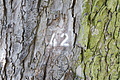 DSC03502 - Bernhard Saalfeld