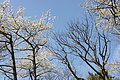 DSC03503 - Bernhard Saalfeld
