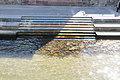DSC03508 - Bernhard Saalfeld