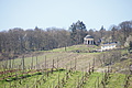 DSC03514 - Bernhard Saalfeld