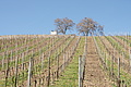 DSC03520 - Bernhard Saalfeld