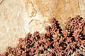 DSC03531 - Bernhard Saalfeld