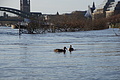 DSC04797 - Bernhard Saalfeld