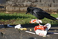 DSC04807 - Bernhard Saalfeld