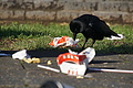 DSC04809 - Bernhard Saalfeld