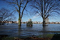 DSC04832 - Bernhard Saalfeld