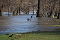 DSC04838 - Bernhard Saalfeld