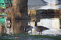 DSC04866 - Bernhard Saalfeld