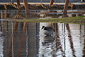 DSC04868 - Bernhard Saalfeld