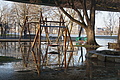 DSC04870 - Bernhard Saalfeld