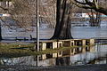 DSC04871 - Bernhard Saalfeld
