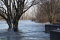 DSC04877 - Bernhard Saalfeld