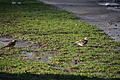 DSC04880 - Bernhard Saalfeld