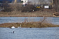 DSC04935 - Bernhard Saalfeld