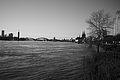 L1000420 - Bernhard Saalfeld