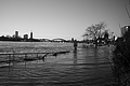 L1000422 - Bernhard Saalfeld