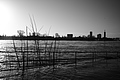L1000423 - Bernhard Saalfeld