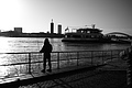 L1000426 - Bernhard Saalfeld