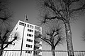 L1000428 - Bernhard Saalfeld