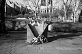 L1000430 - Bernhard Saalfeld
