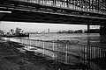L1000431 - Bernhard Saalfeld