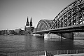 L1000434 - Bernhard Saalfeld