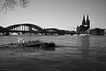 L1000435 - Bernhard Saalfeld