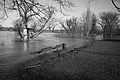 L1000439 - Bernhard Saalfeld