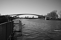 L1000440 - Bernhard Saalfeld